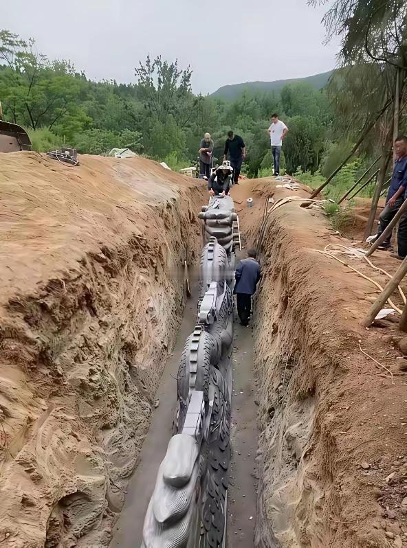 这是挖了个什么出来 