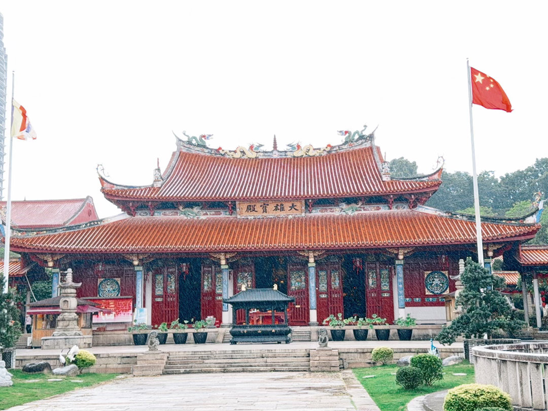 漳州这几天进入“台风天模式”🌧️每天都是阵雨循环：下一阵，停一阵，空气里都带着