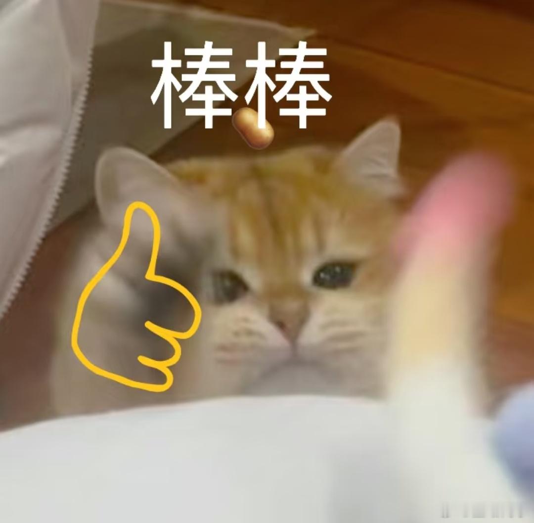 龙舟居然是放河里保存的 之前特别疑惑非赛期龙舟去哪了，这下解开多年疑问，全部浸泡