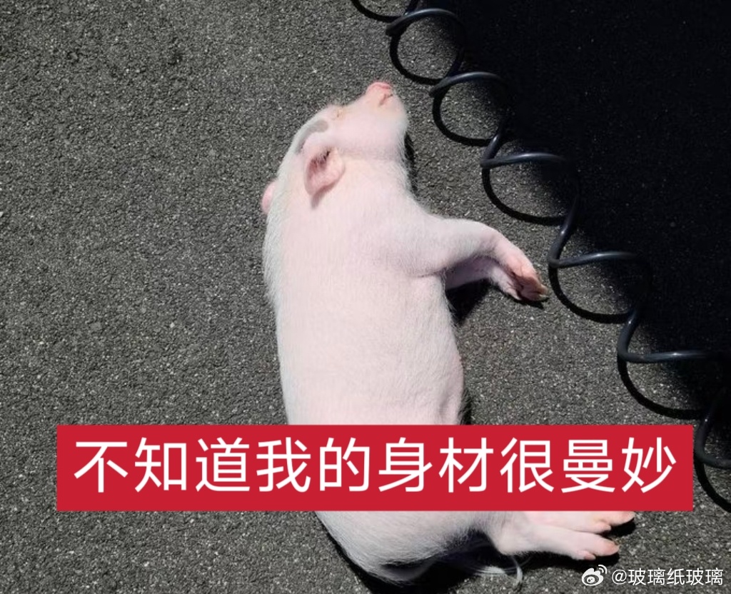 我去怎么就1w字了，还没写完，已力竭已急哭已泪奔已躺平……