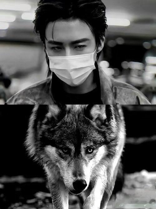 即🉑凶、即🉑猛、又🉑颜、又🉑甜、又🉑萌