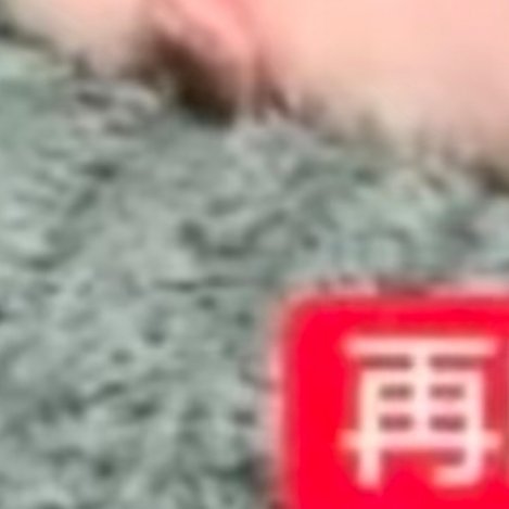 0000种植西梅的步骤如下：1. 种植密度：确保植株之间的间距最好是2M x 3