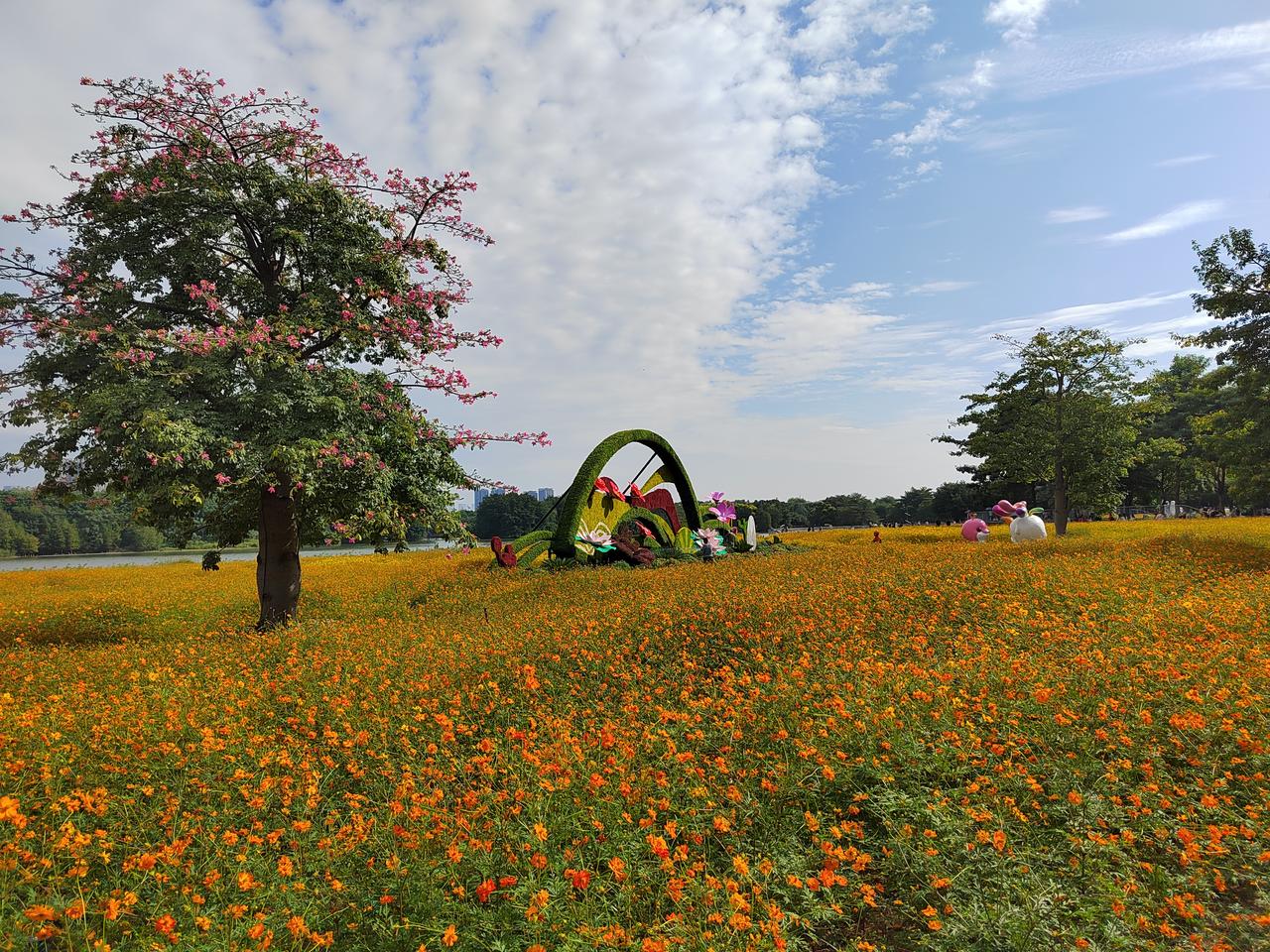 股市里最扎心的讽刺：对投机挥金如土，对本金斤斤计较
 
股市里人性最大的讽刺：