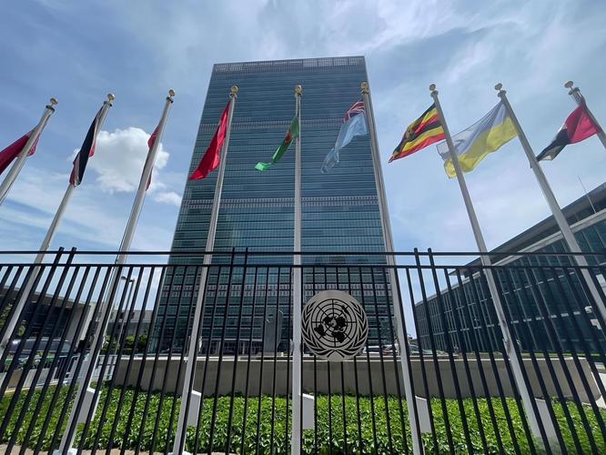 在大部分国家支持改革的情况下，谁不同意做详细的改革就把它踢出去，最该踢出联合国的