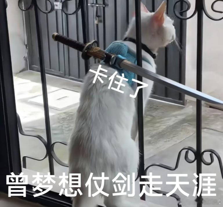 李连杰说成龙甄子丹吴京不可复制真的被老一辈功夫演员的通透打动了，李连杰聊起半生沉