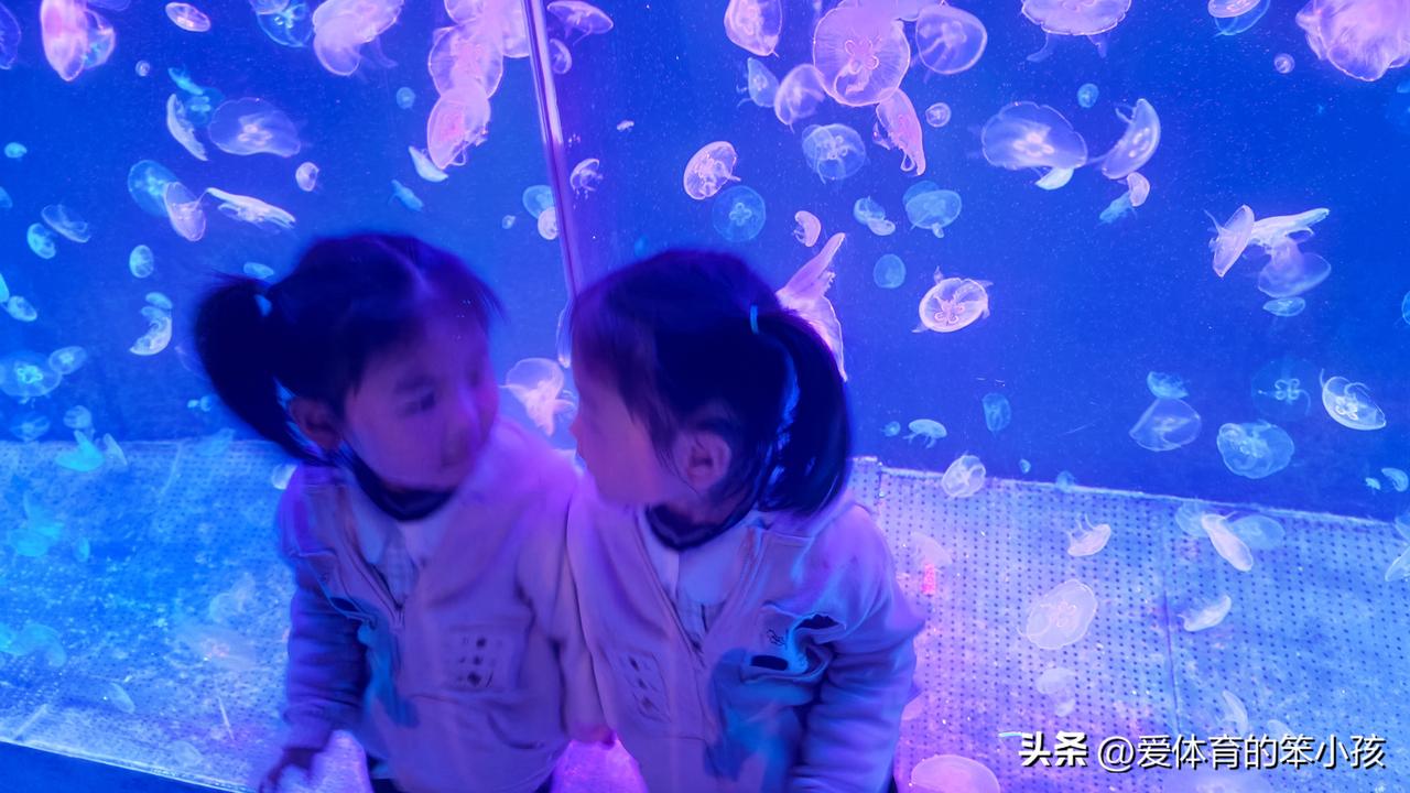 天南地北大拜年春节假期可以带宝宝出去溜溜，比如海洋馆或者动物园都可以当成打卡地！