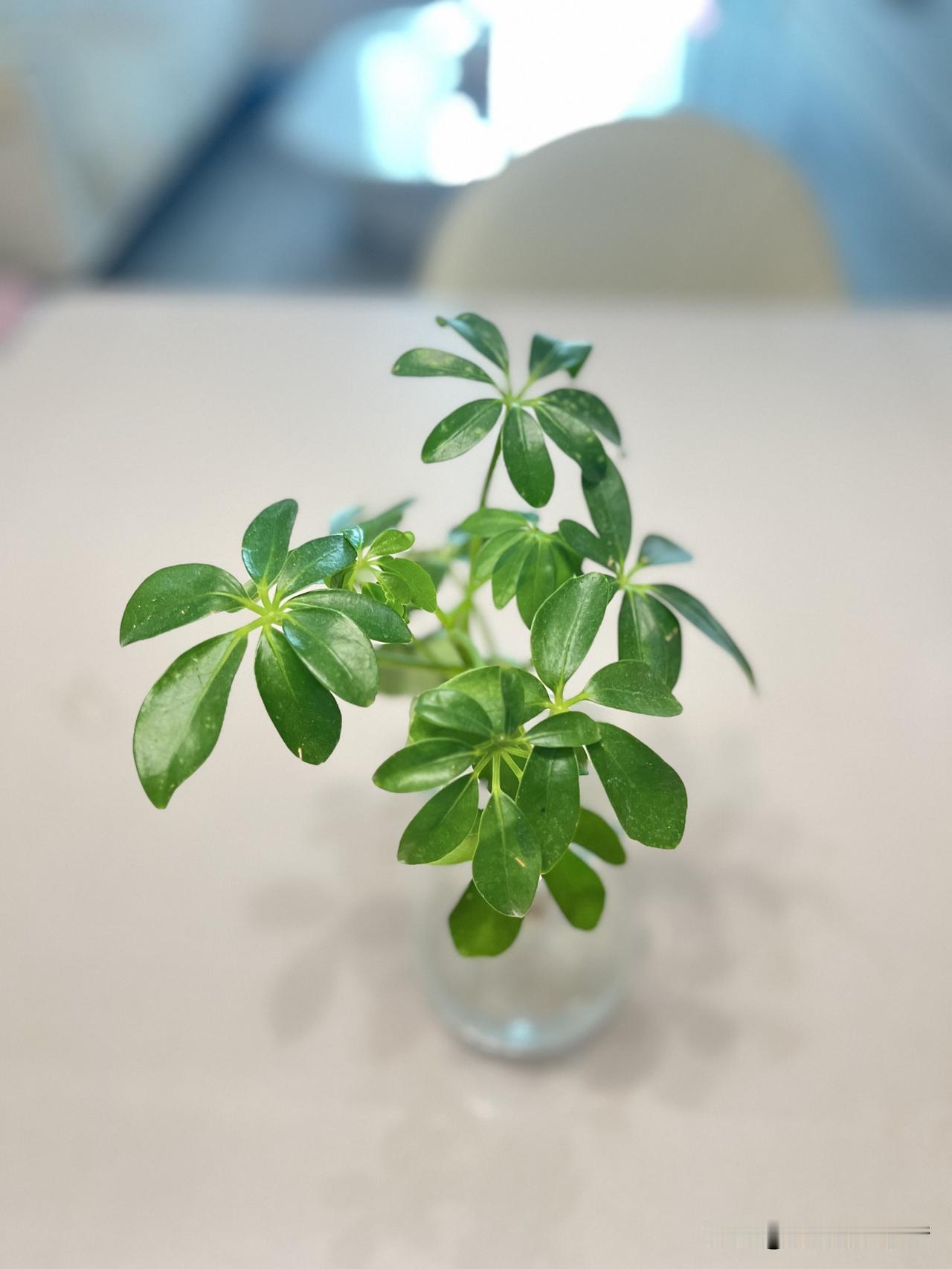 非常通透的一段话：“人不可能每一步都正确，不用回头看，也不要批判那时候的自己。要
