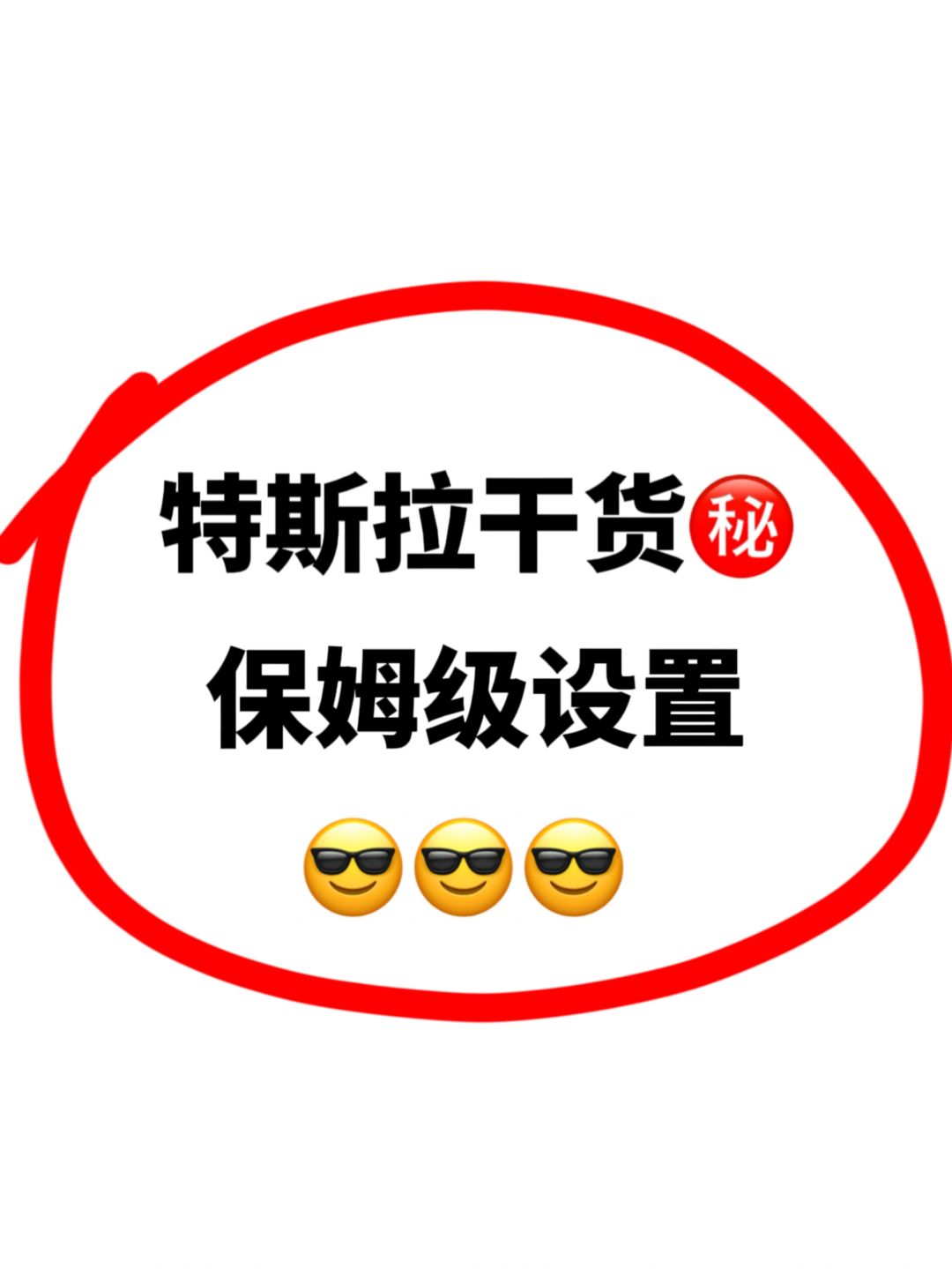 特斯拉干货‼️保姆级设置✅开起来真的香