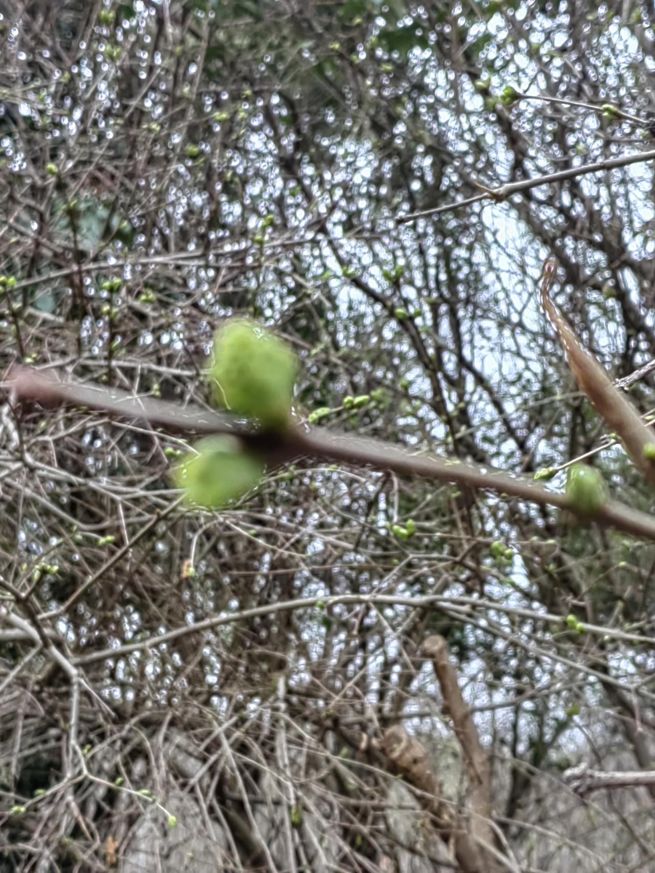 美国肯定在犹豫，不断叫喊，实际上是不断试探，不是担心伊朗能扛到底，而是担心下的本
