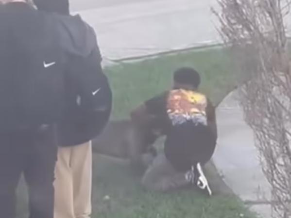 美国得州25日发生犬只攻击学生的事件，事发现场视频可见，一只没有牵绳的美国恶霸犬