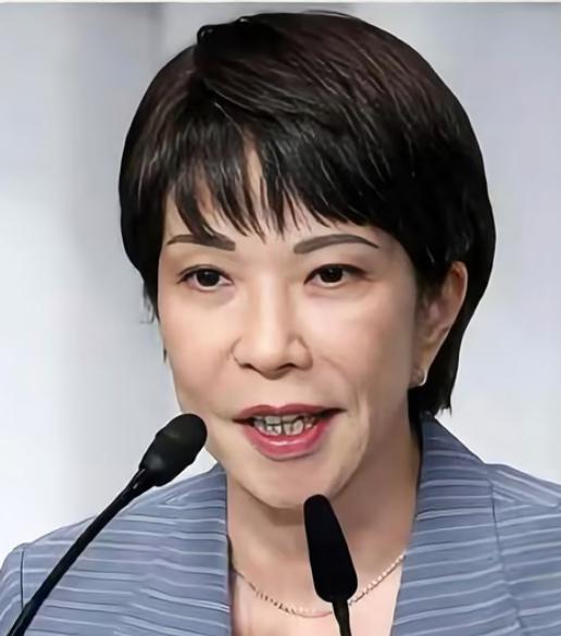 高市早苗19号宣布众议院将于23号解散，提前举行大选。关于众议院选举，高市表示将