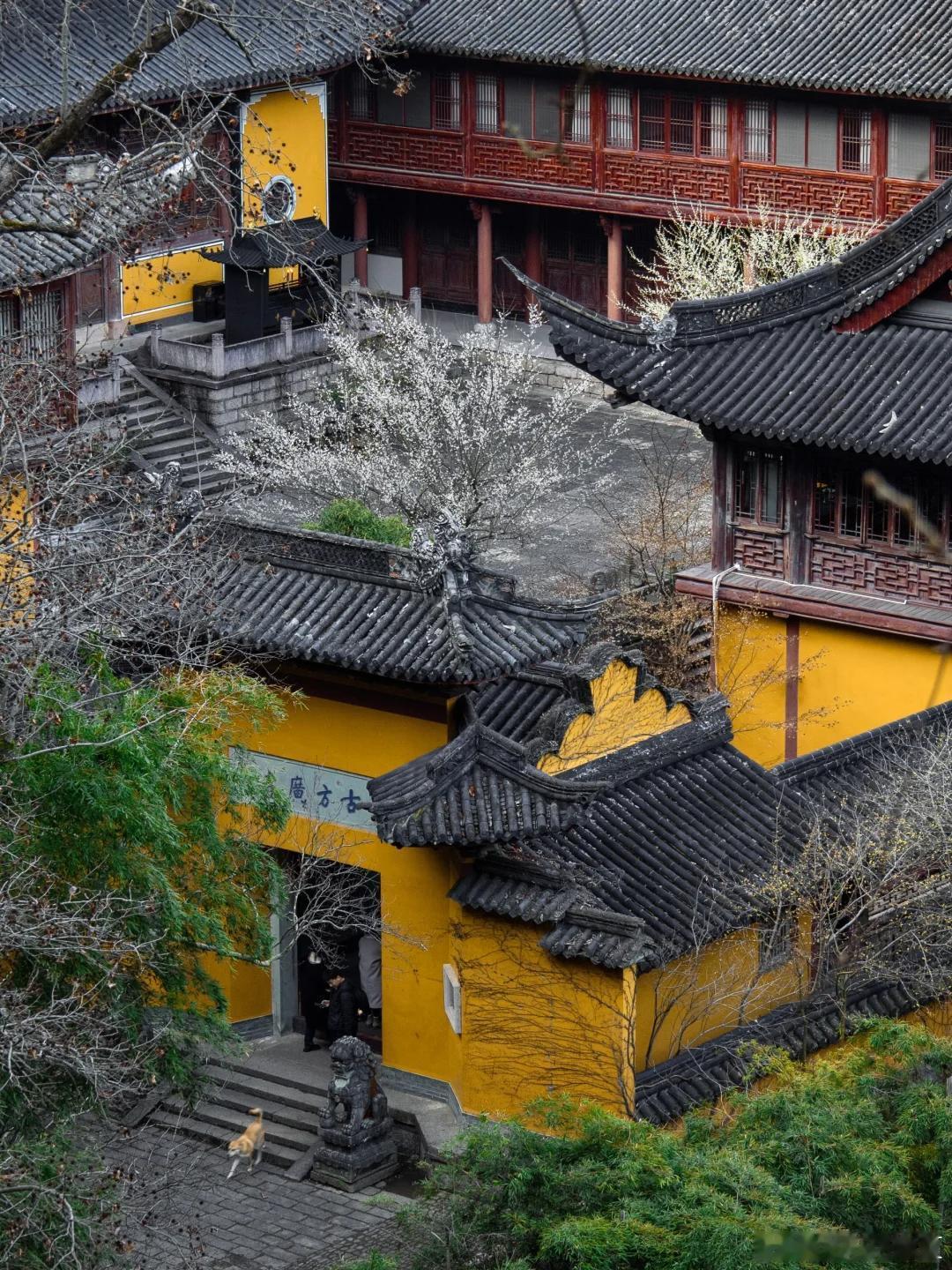 盛夏追光之旅微博旅行ing天台县的寺庙，藏着太多的“秘密”。绿树环绕，石阶斑驳，