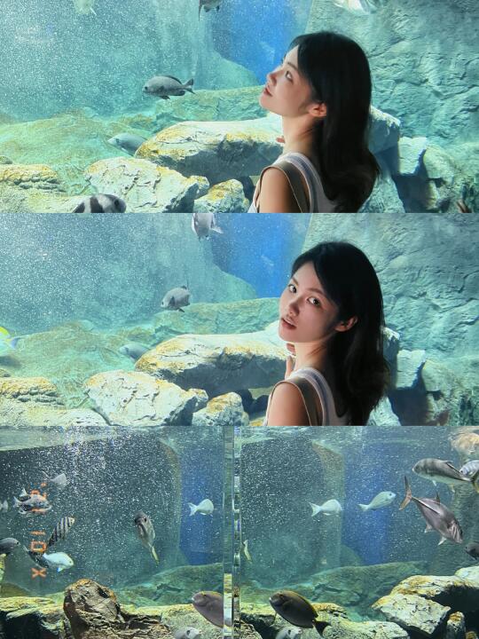 🇯🇵日本｜海底世界🐠🪼🦑