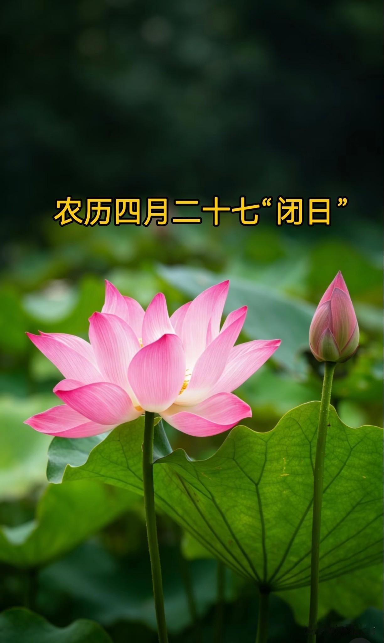不是迷信，今日四月二十七闭日，最不能做的7件事，记得告诉家人
 
转眼已是农历四
