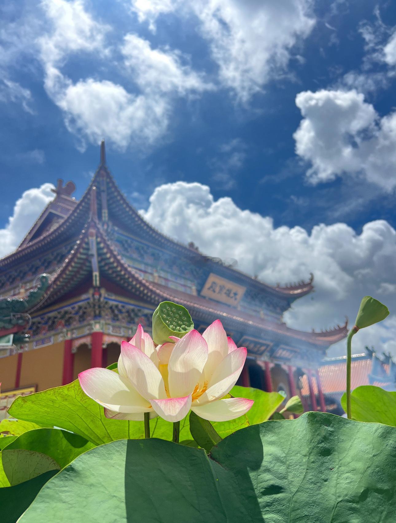 心绪杂乱、杂念纷飞，不妨常到寺院道场静心养气🙏古刹常年汇聚善愿功德，清净庄严的