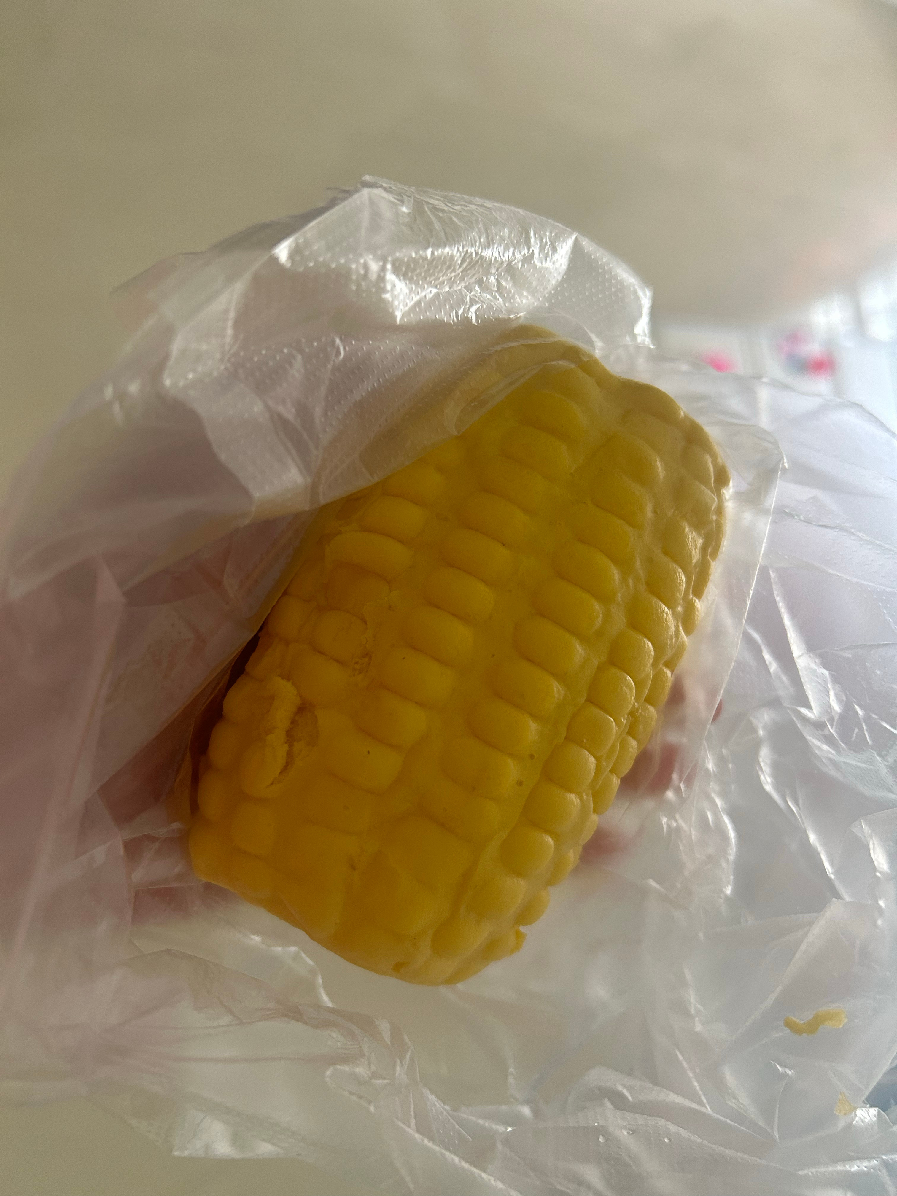 一觉睡醒，我妈去白石岭玩了，我小侄女去王府井逛了，我爸问我吃什么早餐，有玉米和稀