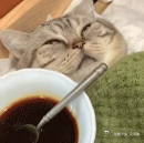再贡献一点微不足道的力量，毒奶x2大v聊车