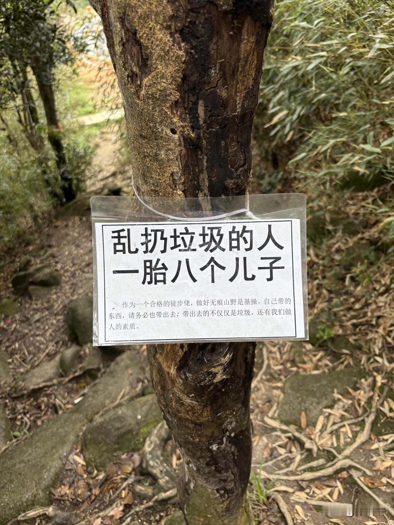 乱扔垃圾的人一胎生 8 个儿子，我再也不敢乱扔垃圾了[笑哭][笑哭]