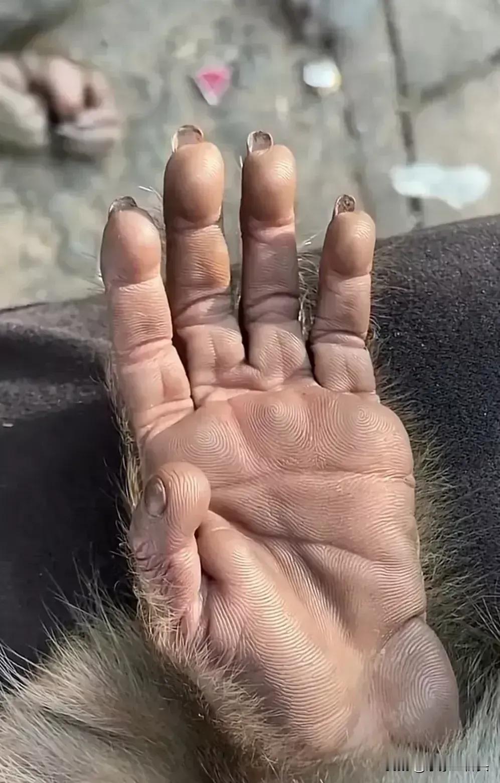 一百年以后，我们现如今这个世界会被打上何种时代烙印呢？