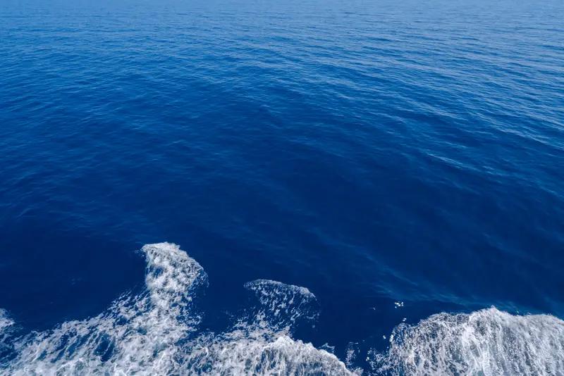 连胜文又被媒体推上风口浪尖了。国民党主席当选人郑丽文宣布第一波人事后，有台媒报道