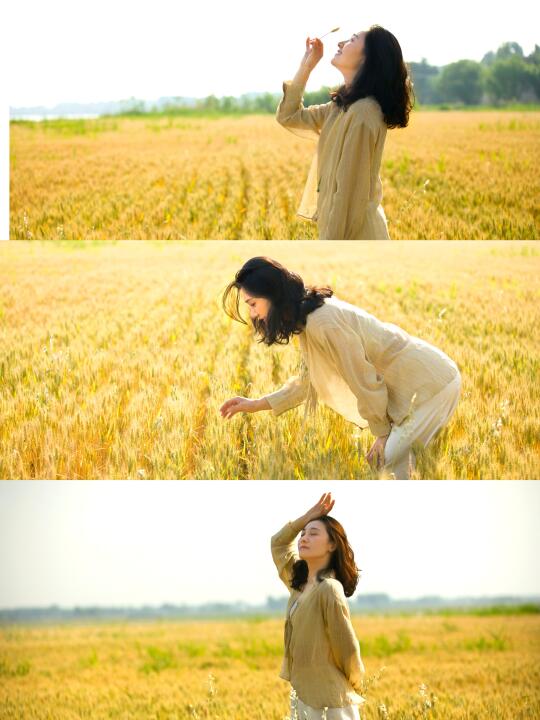 谁的金灿灿麦田我不认识～🌾