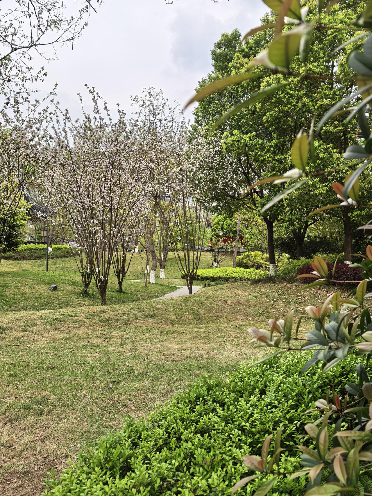 分享一张你的家乡风景照片