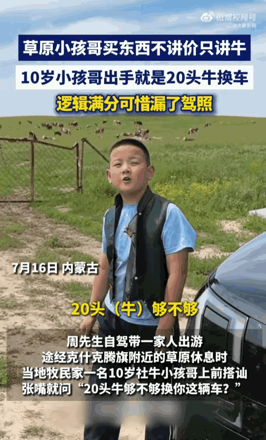 赤峰草原上一位十岁小朋友拦住自驾游客，一本正经提出要用二十头牛交换对方的汽车，气
