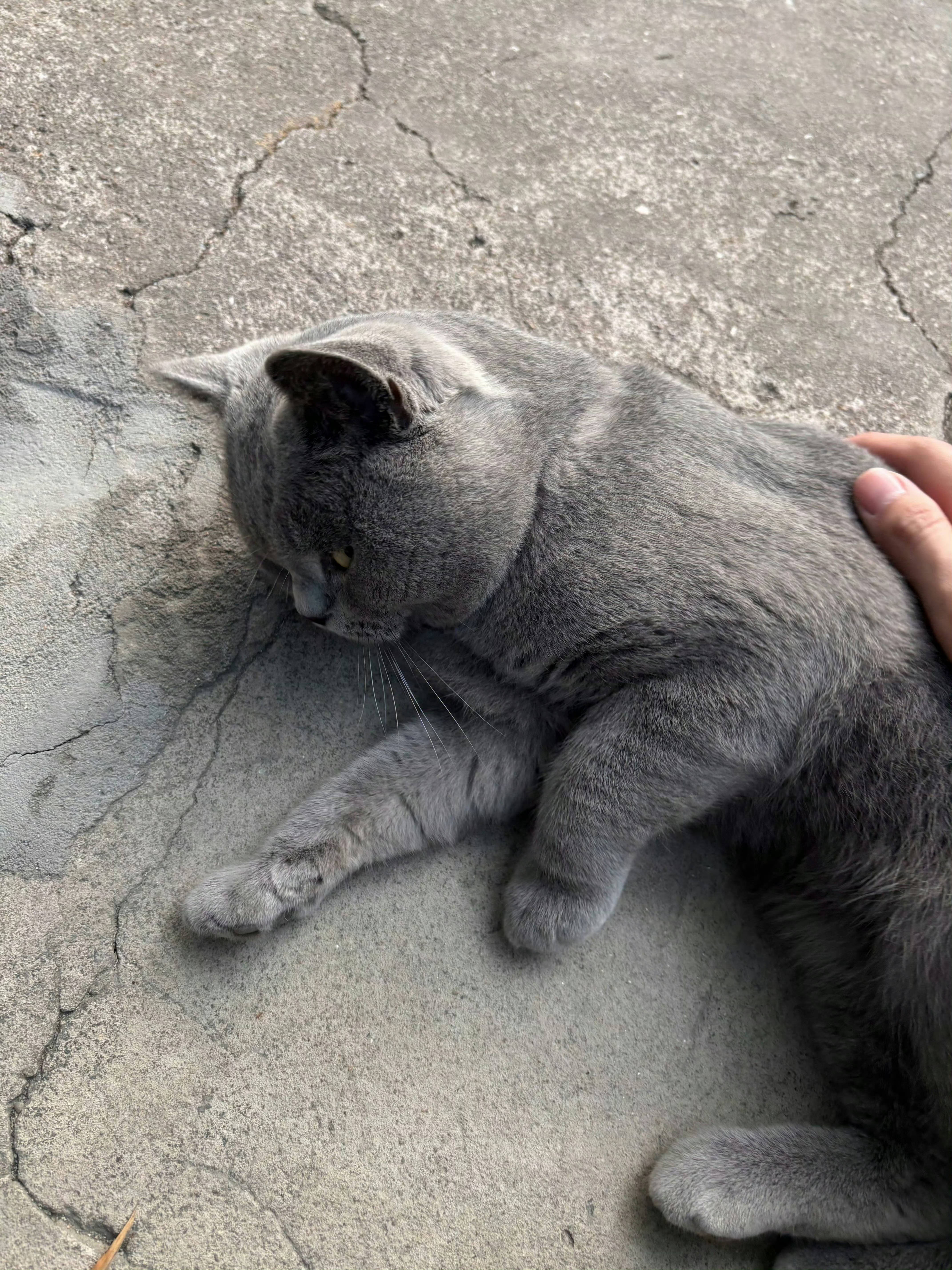 别人是买个希望，他是把希望熬成现实。男子从年轻买到退休终于中1046万