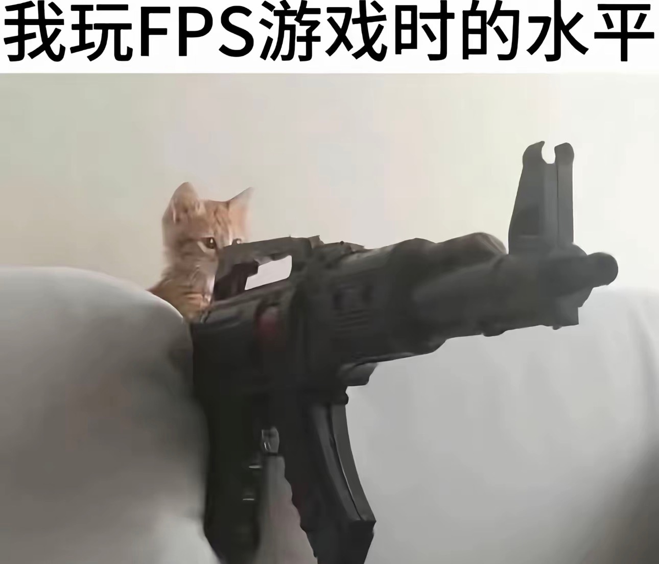 (｡T ω T｡) (萌ω萌) (｡T ω T｡） 