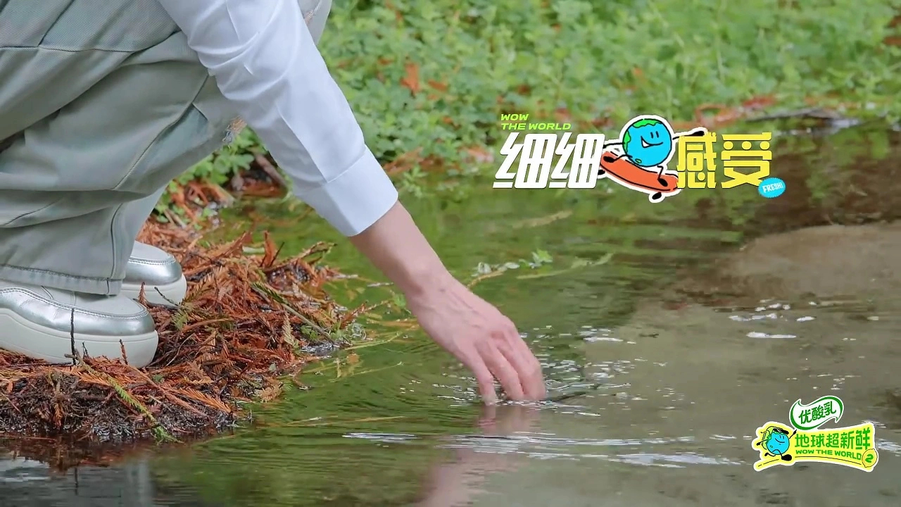 我发现节目组特会，只有陈星旭这段是给手部了一些特写哈哈哈哈哈实在是太美了！！！ 