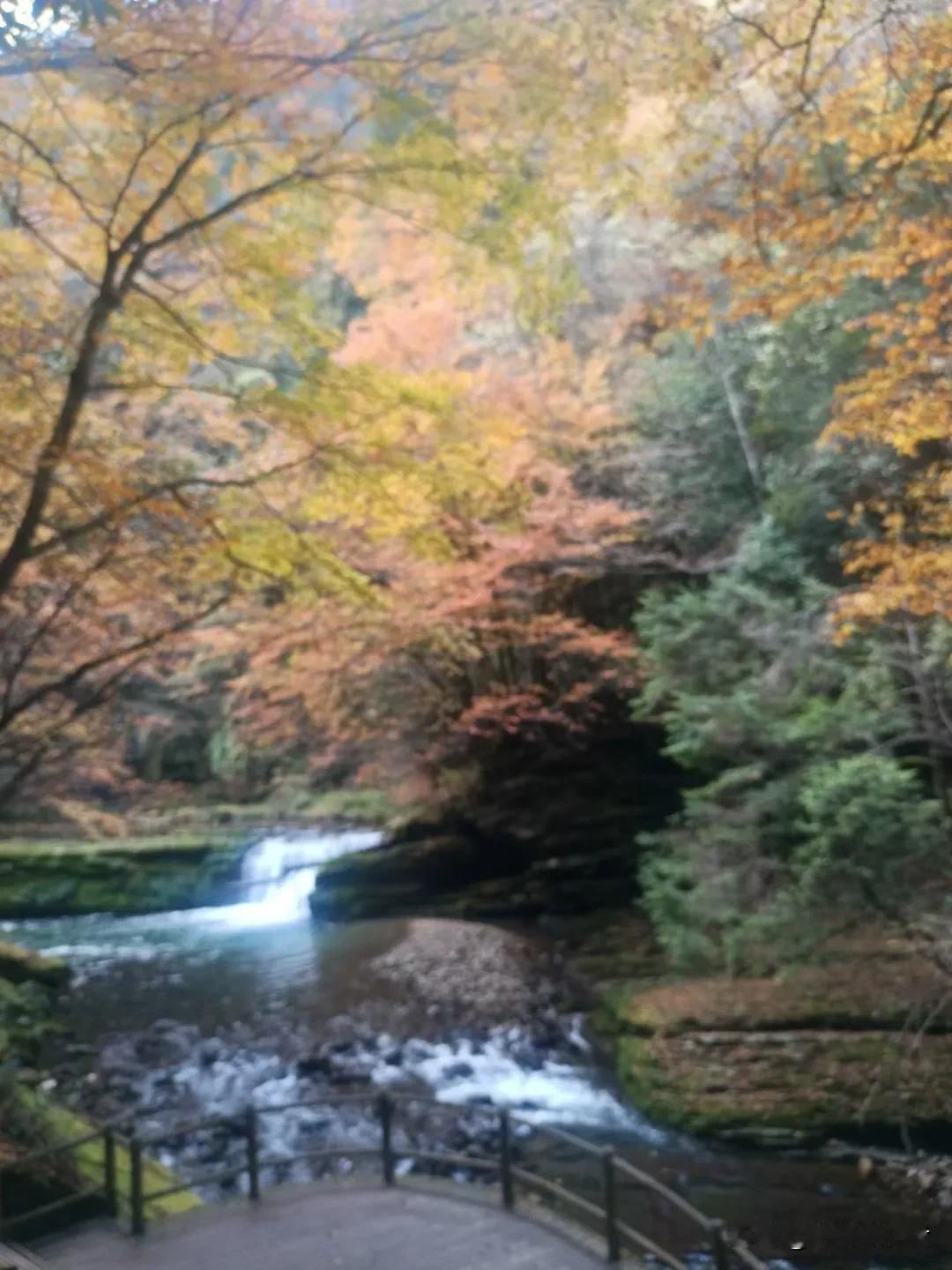 秋日小径，潺潺溪水，枫叶如火，心旷神怡。🍂🍁🍂汉中山区金秋爽景。