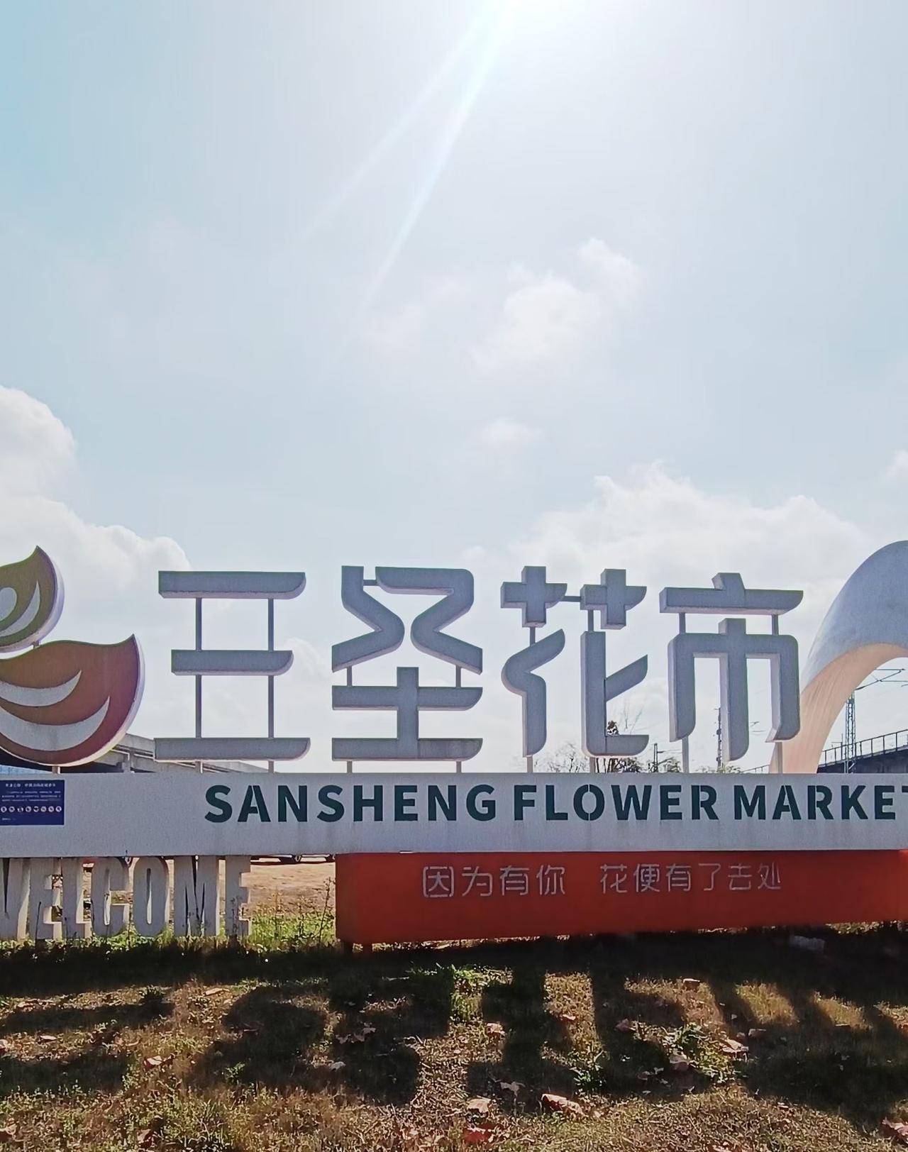 大美成都，这几天天气真好，昨天气温有22度。晴空万里，艳阳高照。弟媳带着1岁多的