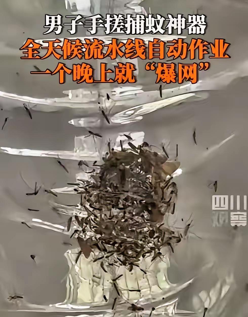 福建，一男子被村里的蚊子叮的不胜其烦，于是灵机一动，靠着风扇加紫光灯，自制一个捕