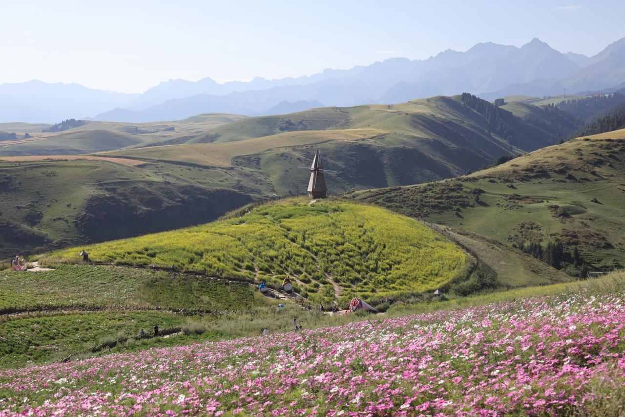走吧网第八届环驾中国梦之旅（梦想版）D43（江布拉克—富蕴）

📆2024.0