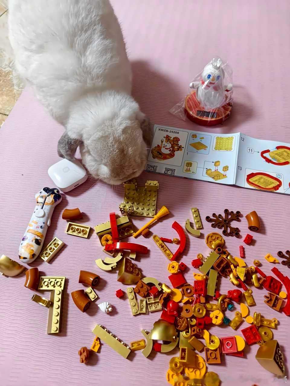 13686🐇【捣乱兔】小兔不可以玩积木知道吗！ 