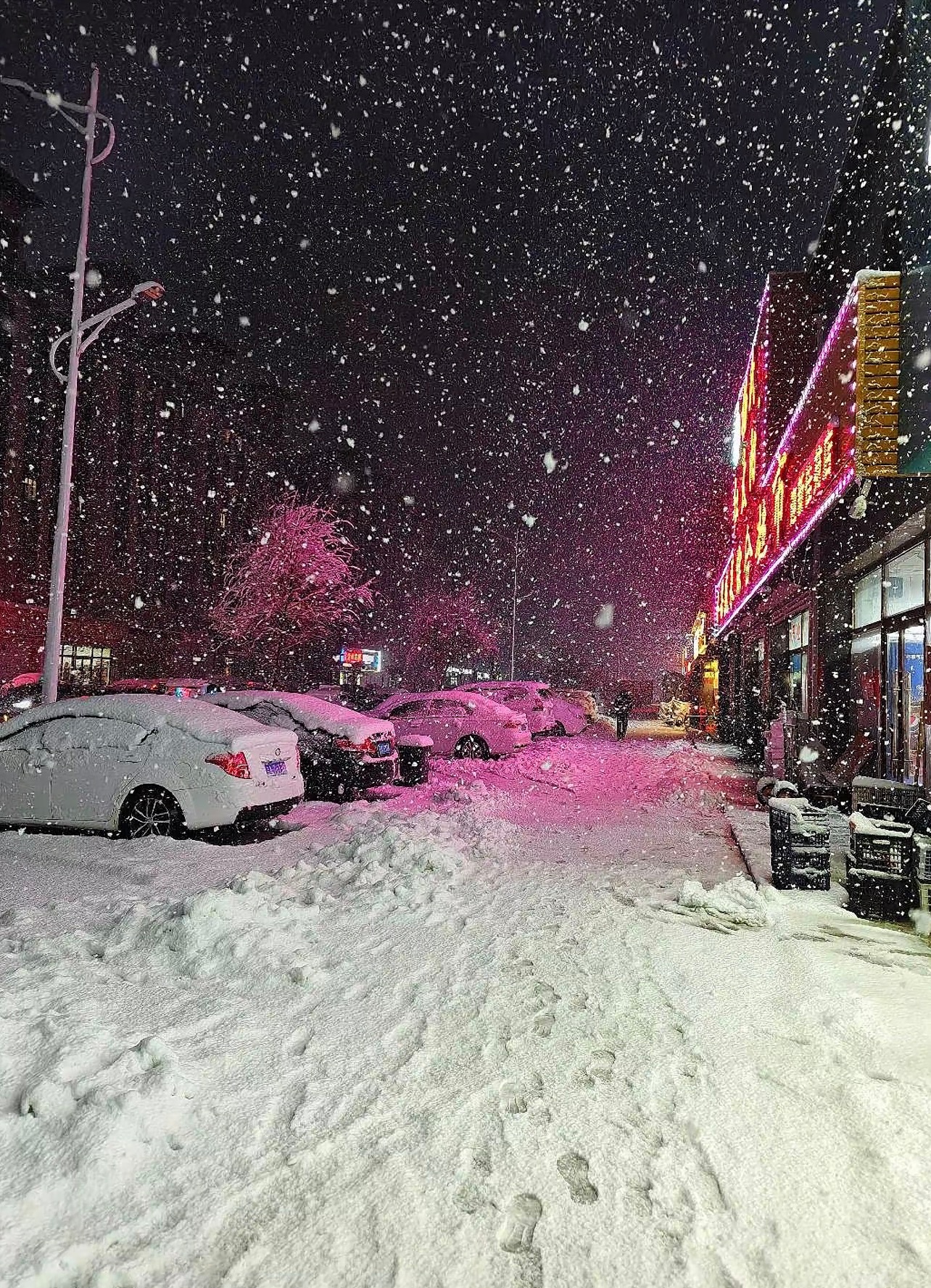 别人清明雨纷纷，东北清明雪沉沉。春天？在东北，还得等雪先把枝头喂饱再说 