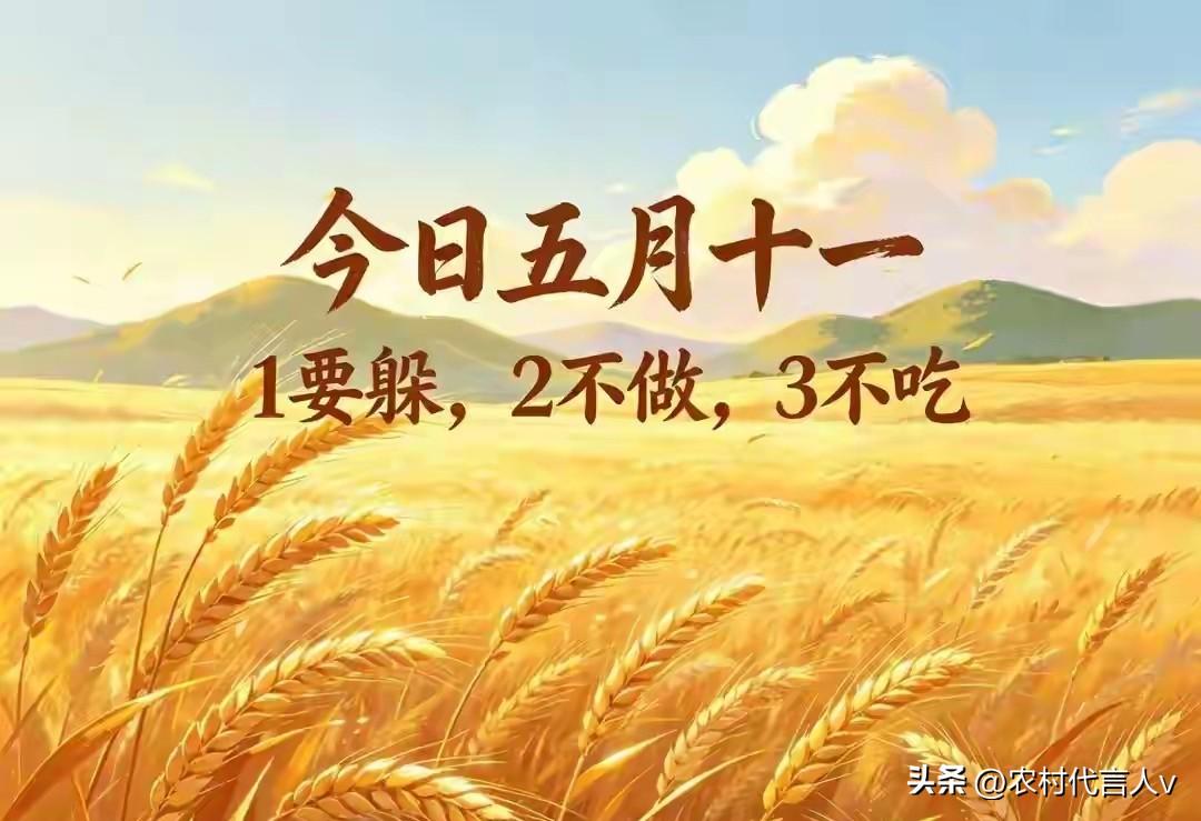 不是迷信！今日五月十一，记得：1要躲，2不做，3不吃，平顺安稳
 
农历五月十一