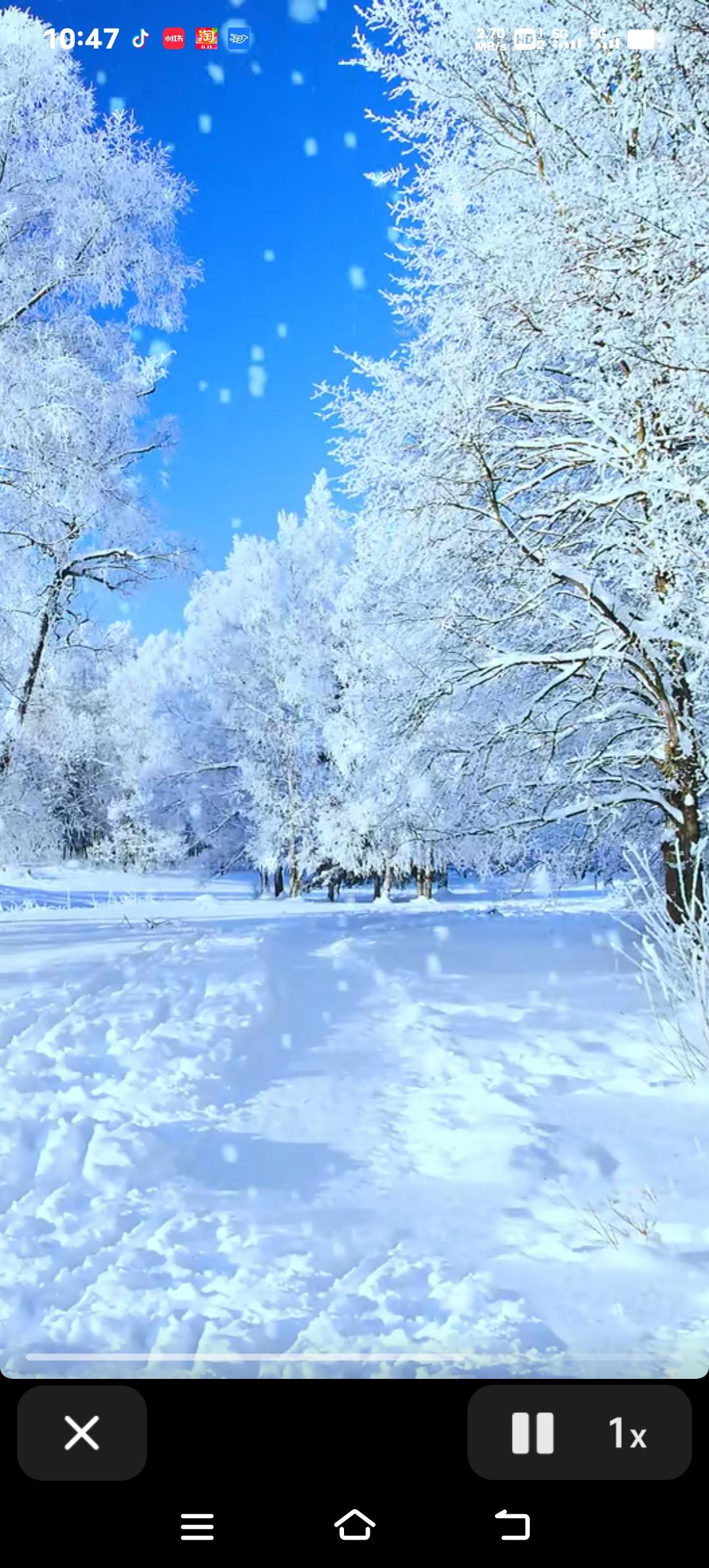 2025年初雪突袭！多地迎来鹅毛大雪，积雪已达5厘米
初雪悄然降临，全国多地变成