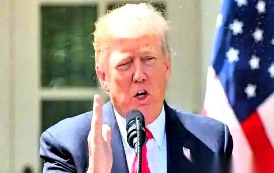 巴西大豆，老美眼睁睁看着自己的份额从天上掉到地下，只剩4.2%。
一瞬间，好像所