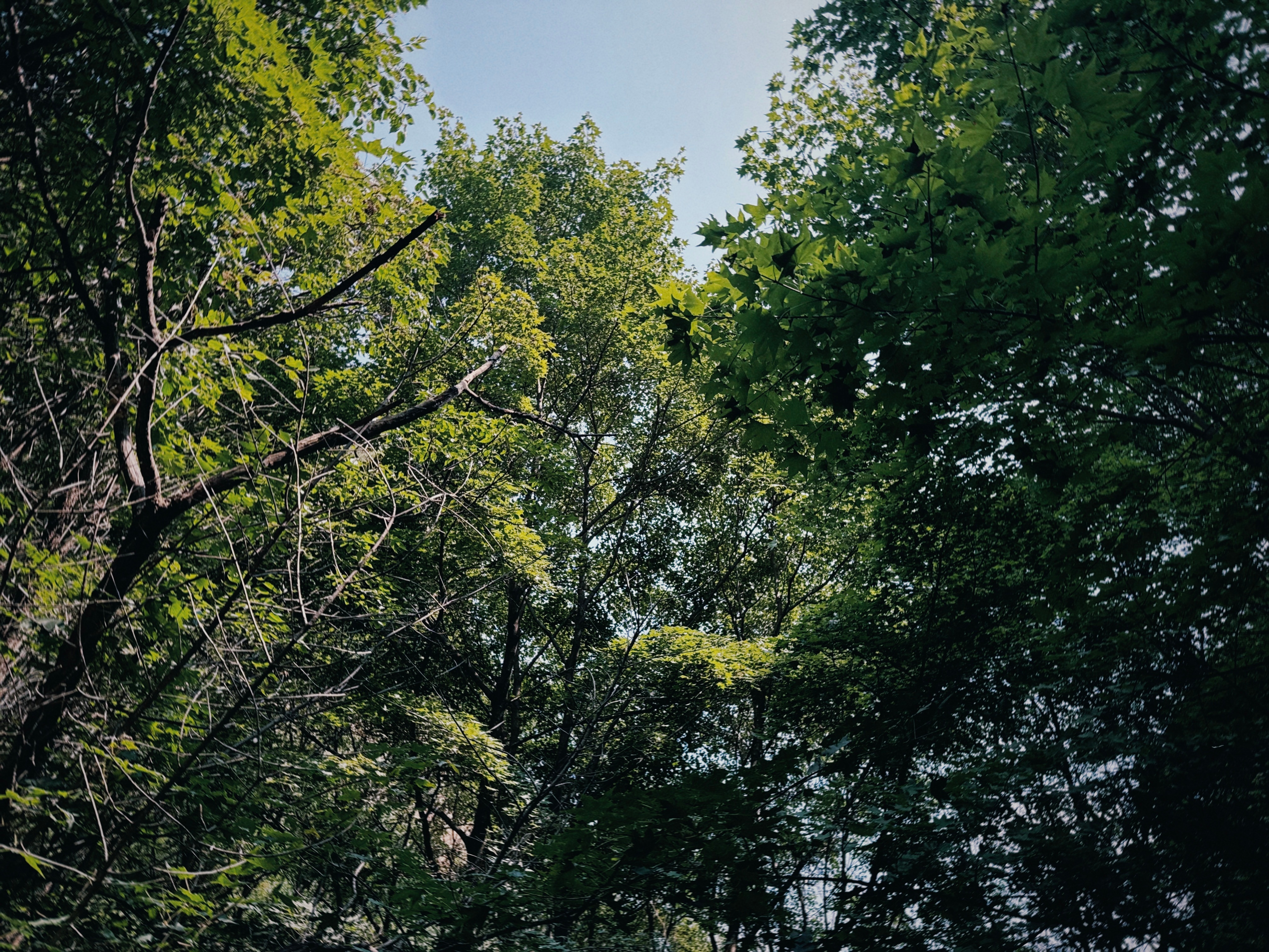 下雨之前进个山户外爬山﻿