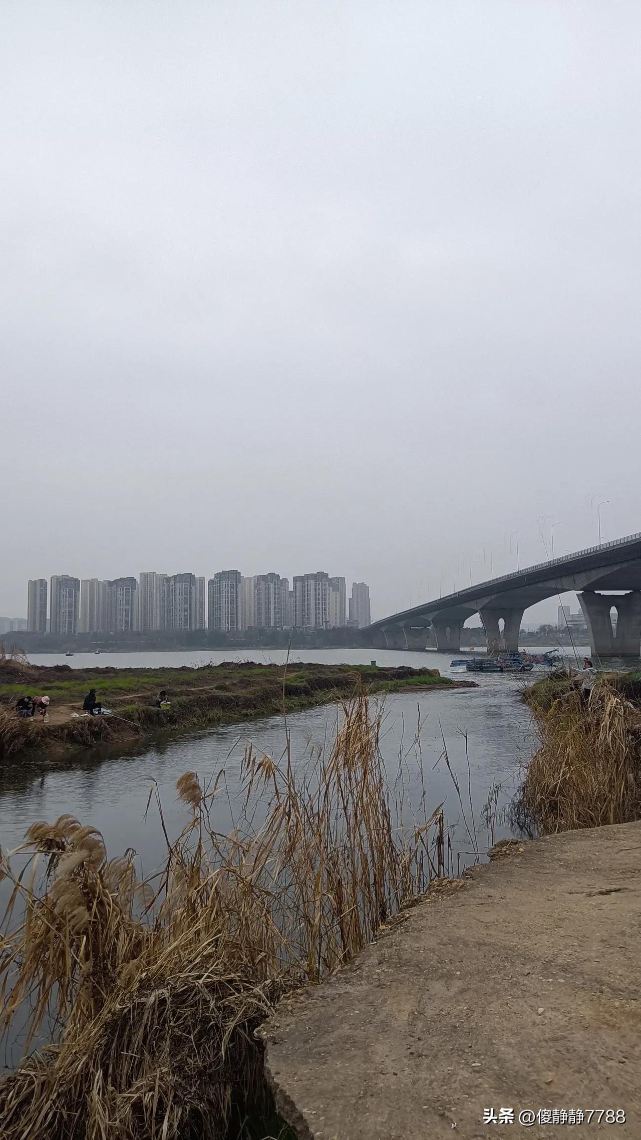 钓鱼的乐趣
在于钓不到鱼
却能晒太阳
摆脱俗务纠缠
无丝竹乱耳
无案牍劳形
金钱