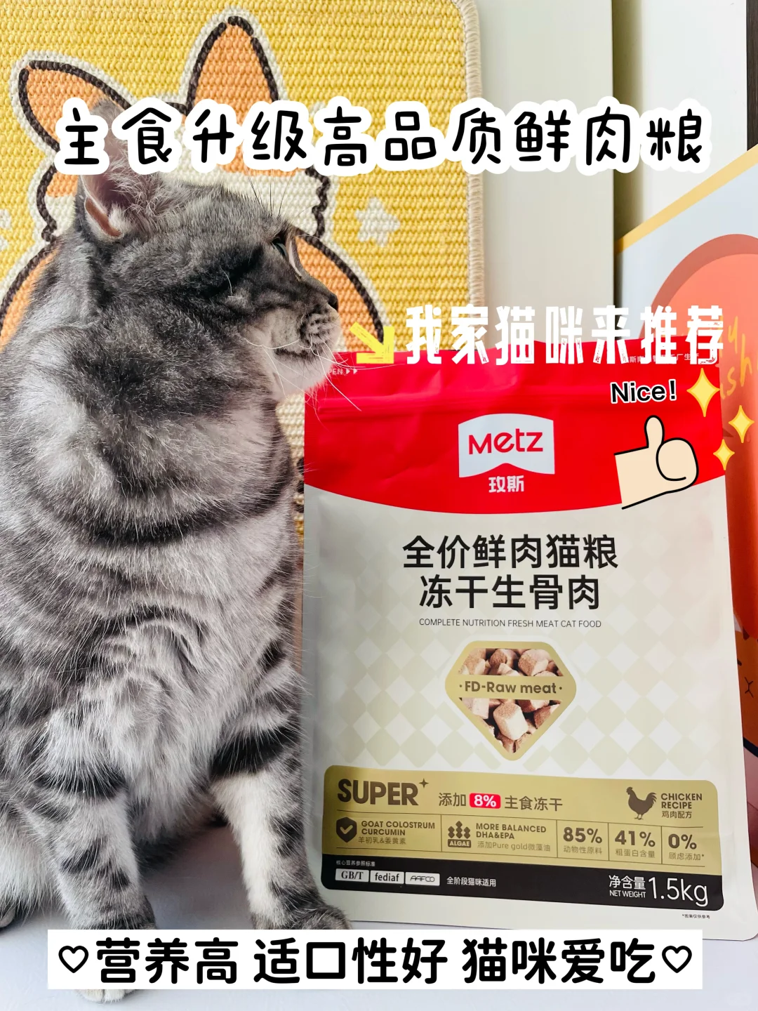 主食升级高品质鲜肉粮| 我家猫咪来推荐❗️