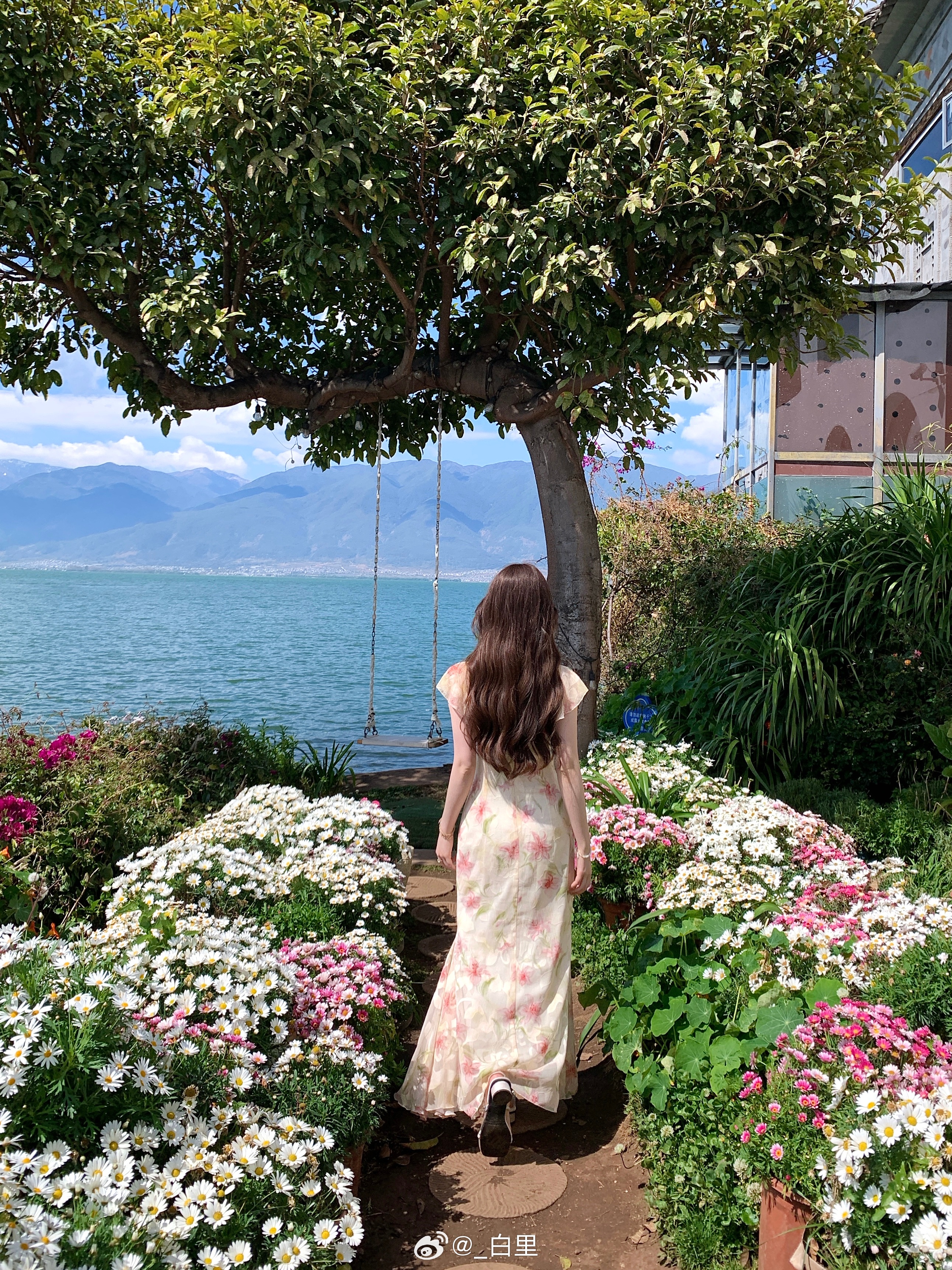 身在花丛中💐 大理·双廊古镇