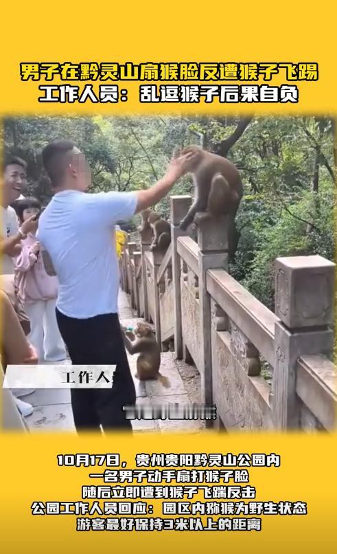 “冤不冤！”10月17日，贵州贵阳，一男子在公园里挑逗野生猕猴，动手扇了猴子一巴