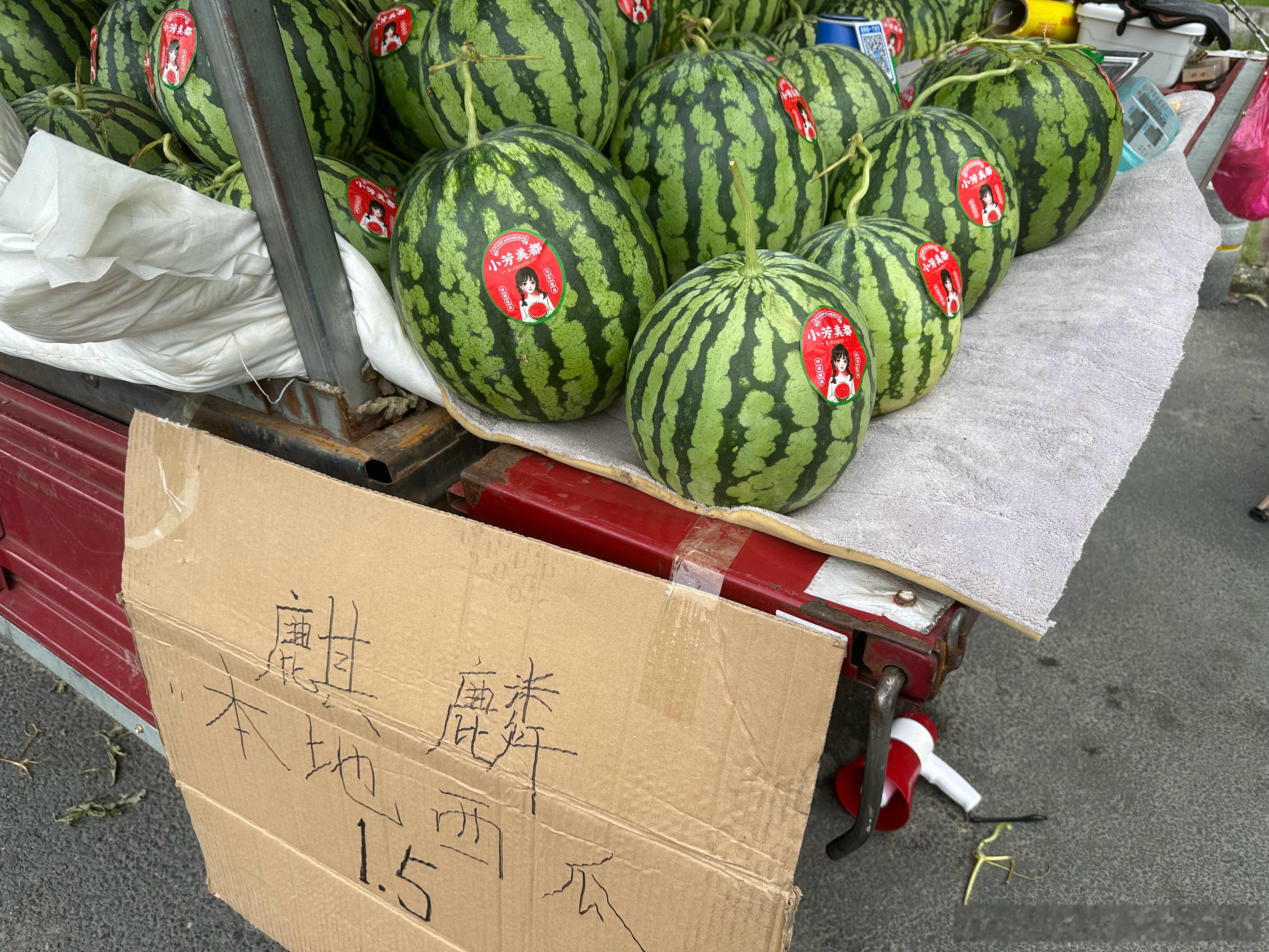 西瓜🍉越来越贵了本地麒麟瓜1.5元，两个36，比喝奶茶🥤划算感觉台风来了，瓜