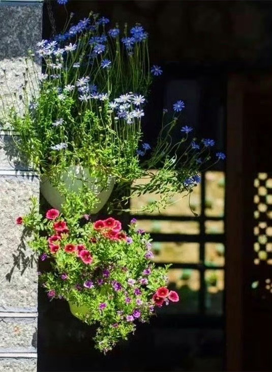 大理·寂照庵，人间极美尼姑庵：不烧香只种花，看一眼就想出家！ 