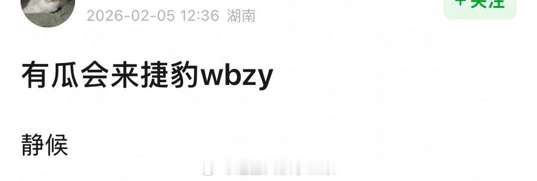 有瓜会来截爆微博之夜？？ 