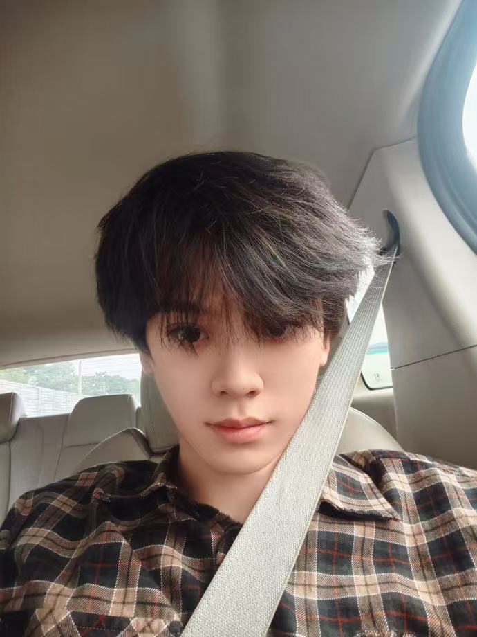 左航顺毛小狗左航发顺毛小狗图 左航顺毛小狗照片～好萌🥰 