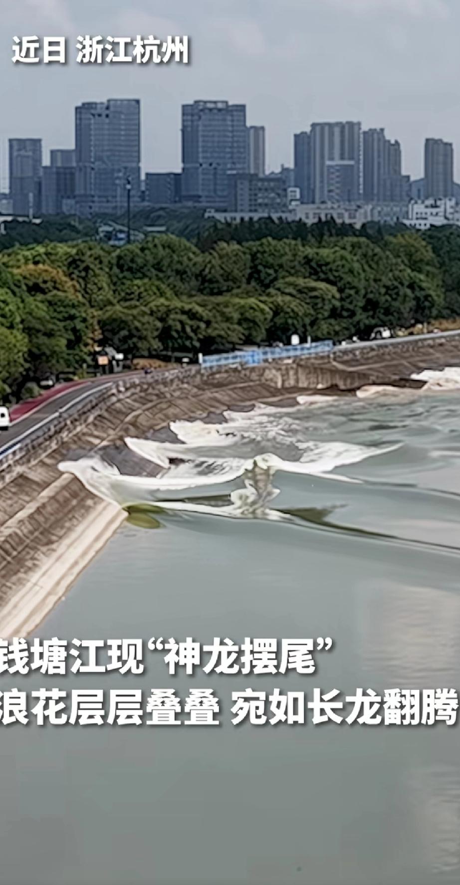 近日浙江钱塘江惊现“神龙摆尾”奇观！浪潮层层叠叠，如同一条白色长龙在水面翻腾舞动