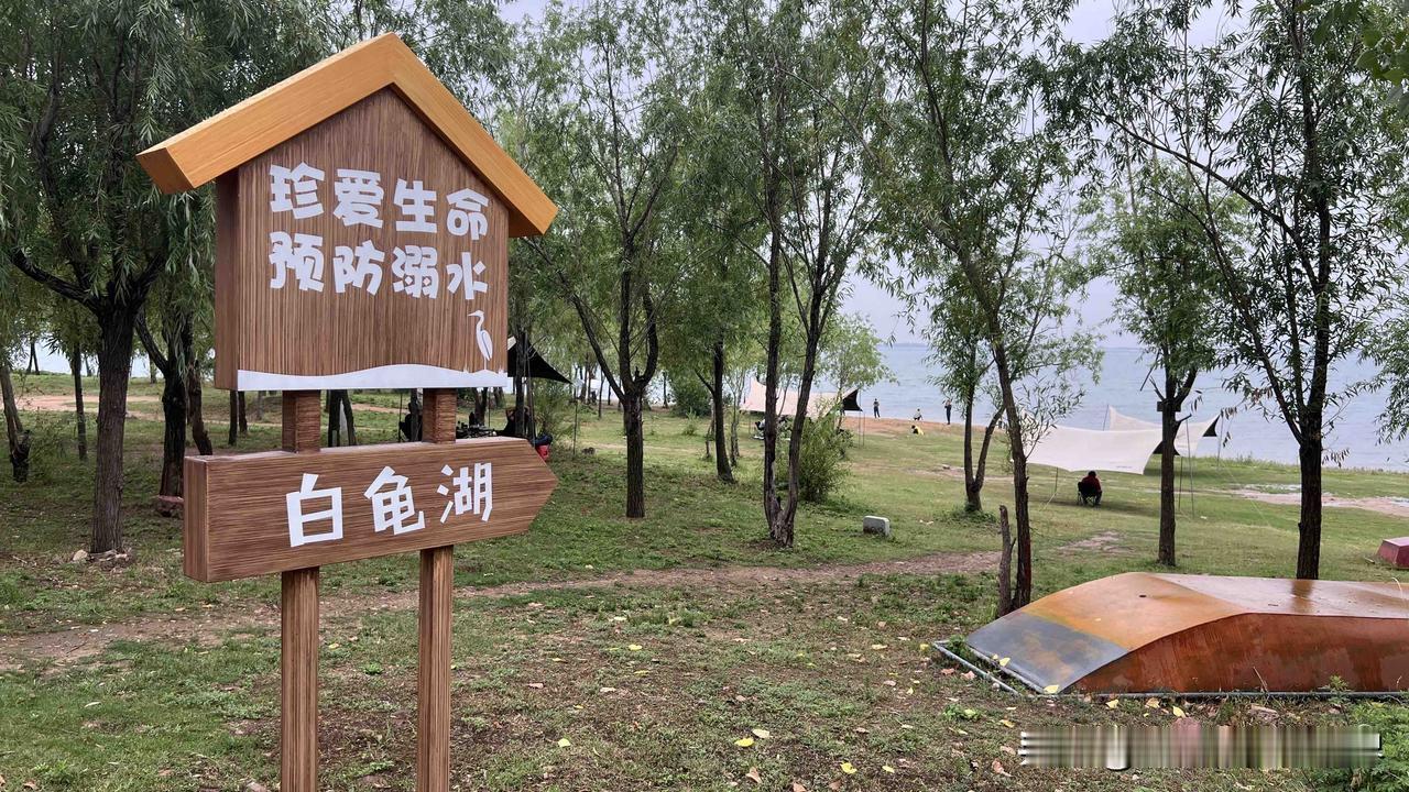 不懂就问，有一个问题问一下大家。就是在头条上，经常性浏览到有人甚至大咖转发外媒报